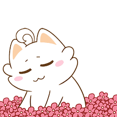 2023111393944661.gif 2023111393944661.gif