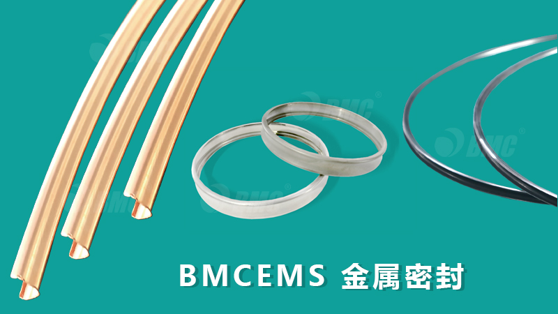 202452711631757.jpg 202452711631757.jpg